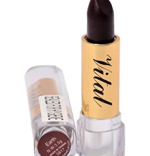 Vital Moisturizing Earth Lipstick 0817 for rich, hydrating color with a smooth, creamy finish.